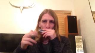 SONNY BOY WILLIAMSON  - 5 SIGNATURE LICKS (Harmonica Tutorial)