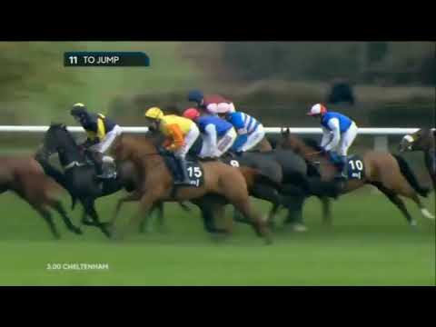 2016 Regulatory Finance Solutions Handicap Hurdle - Cheltenham Open