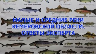 Можно ли ловить ленка в кемерово