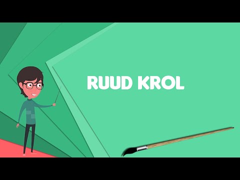 What is Ruud Krol? Explain Ruud Krol, Define Ruud Krol, Meaning of Ruud Krol
