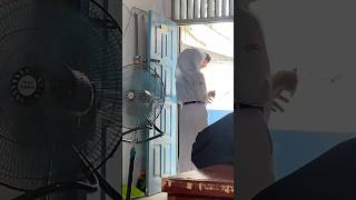 Download lagu Tukaran hp sama pacar mp3