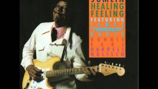 HUBERT SUMLIN (Greenwood ,Mississippi  U.S.A) - I Don't  Want No Woman