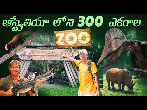 brisbane australia city tour | Steve irwin zoo australia