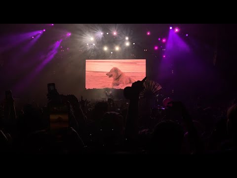 Said the Sky - Live @ ILLENIUM ASCEND Tour Seattle Throwback Set - Fireflies (Said the Sky Remix)