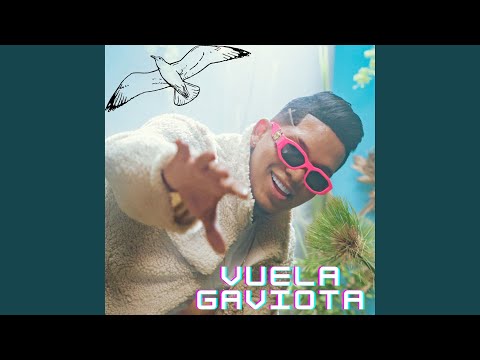 Miniatura de Vuela Gaviota