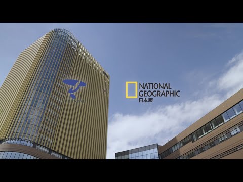 日本文化学科 【帝京大学 ✕ ナショジオ コラボ動画】文学部史学科 小山俊樹 教授の研究紹介「近代日本の機密費を探査し現代社会の透明性のための示唆を得る」