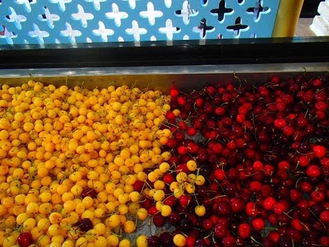 Rubi Platinum Dinner (Ужин)