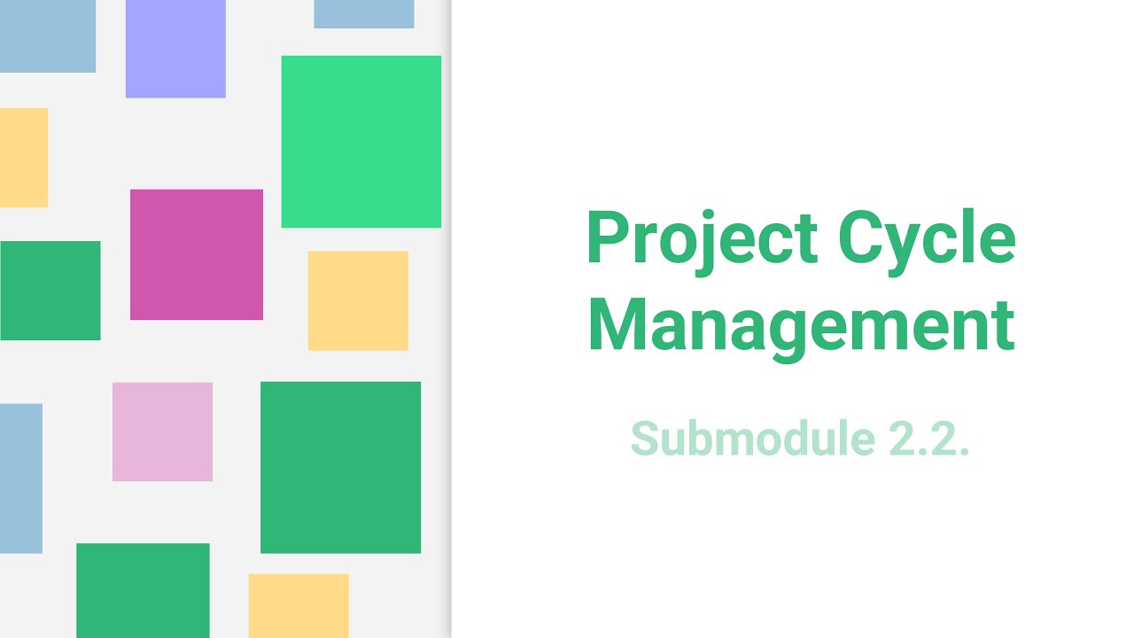 2.2. Project Management Cycle