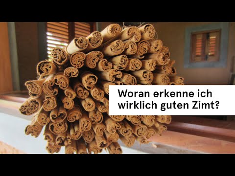 Woran erkenne ich guten Zimt? Welche Unterschiede gibt es? | Gewürztipps