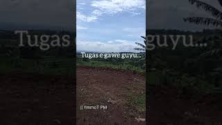 Download lagu story wa 30 detik bahasa jawa || seorang badut #shorts mp3