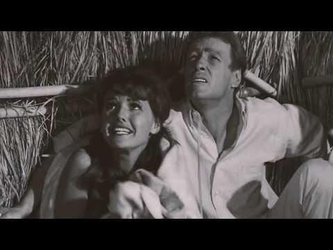 The Professor and Mary Ann - I’ll Keep You Safe - Gilligan’s Island