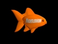 Nick Bumper Fish
