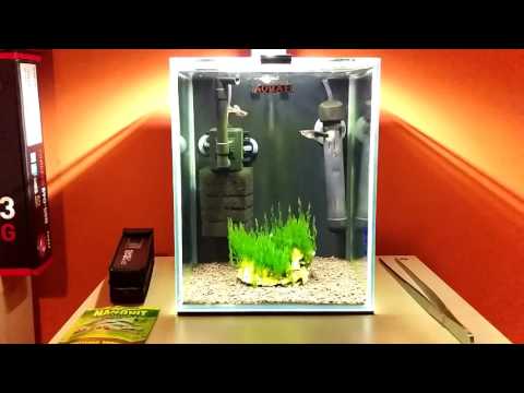 Odc.12# Shrimp Set - Bezproblemowy start akwarium