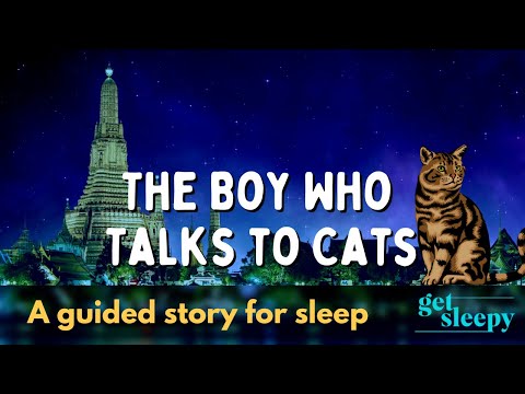 Bedtime Story for a Peaceful Sleep | The Boy Who Talks to Cats