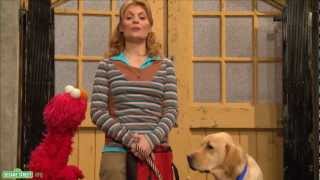 Sesame Street: Gina Explains Service Dogs