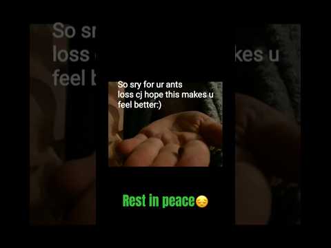 Rest in peace my brothers Queen ant😔