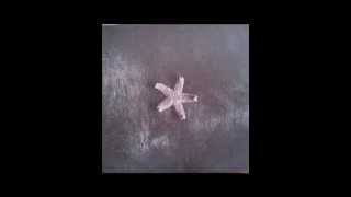 The Church - Blood Money (Starfish1988)