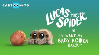 Lucas the Spider - I Want My Baby Acorn Back - Short
