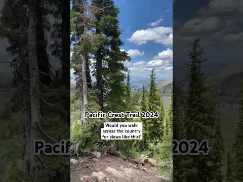 This view was INSANE!!