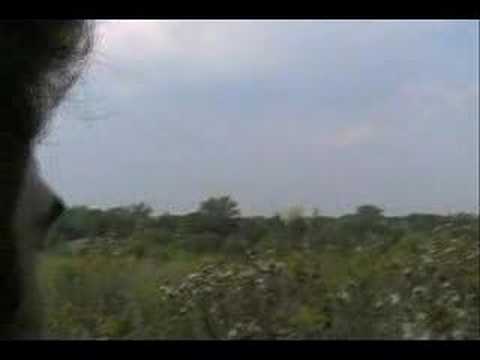 The Return of Attila the Hun - trailer