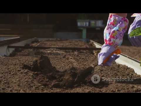 Loam soil is the best soil for growing plants