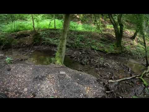 Mibo GT - Tour zum Cremershammer