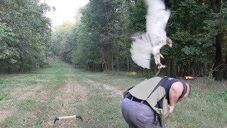 First Free Flight - The Falconer's Journey Ep5