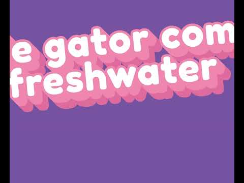 Allie Gator Comes to Freshwater