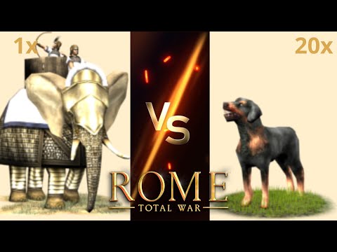 Can 24 Armoured War Elephants Beat 3800 Wardogs in Rome: Total War?