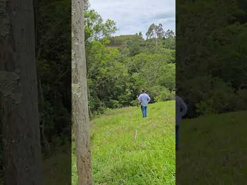 Sítio com 3 casas, igreja, galpão e produção rural pronta – Tomazina/PR | 43 99627-5172