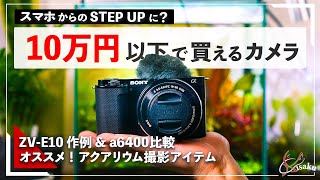 【アクアリウム作例あり】10万円以下で買えるおすすめカメラ『ZV-E10』【a6400との比較&アクアリウム撮影に使えるオススメアイテム】