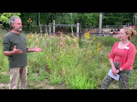 Mondays with Martha #13 - A New Look on Lawns