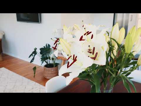 22a Peach Parade, Remuera