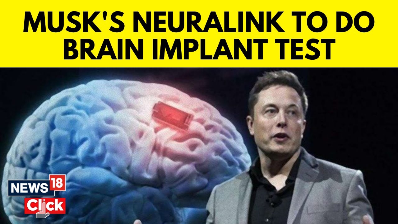 Elon Musk's Neuralink Gets FDA Approval For Study Of Brain | Elon Musk Neuralink Human Trials