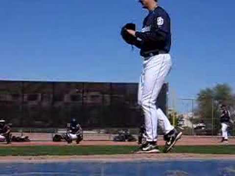 Another Cory Luebke pitch