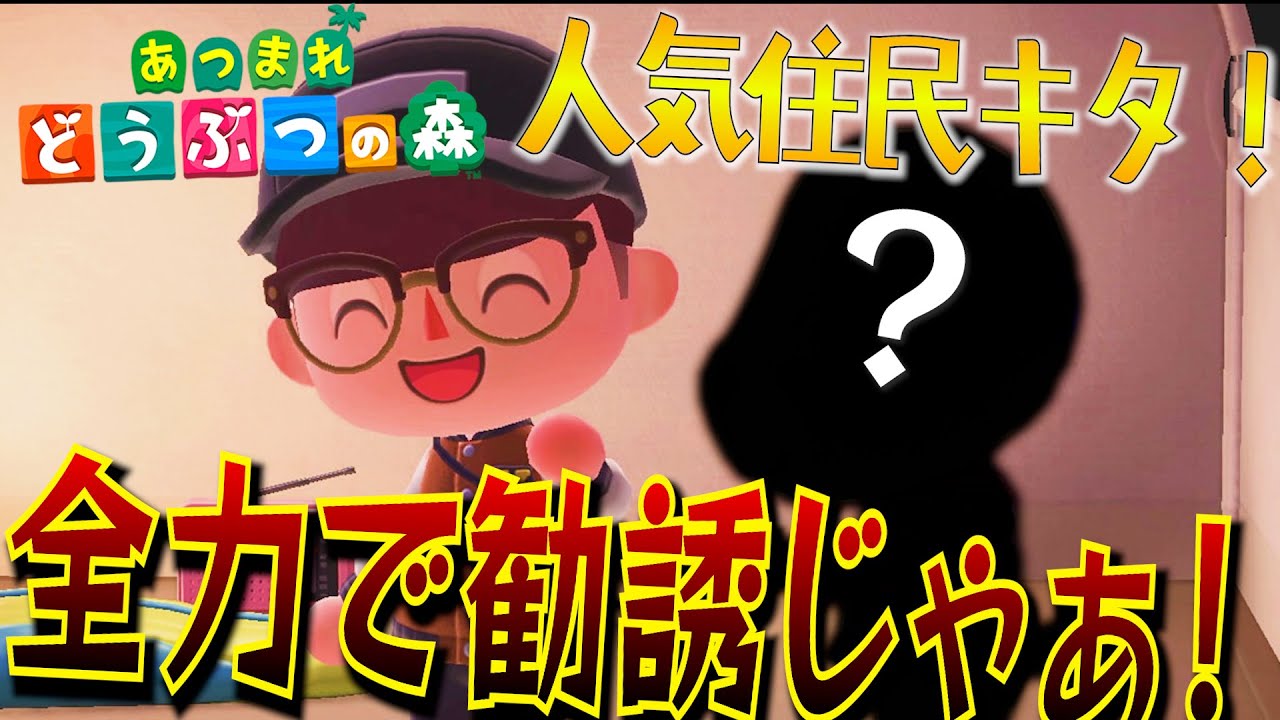 【あつ森】激アツ！キャンプサイトに可愛すぎる住民が来島！全力で勧誘しろ！！！