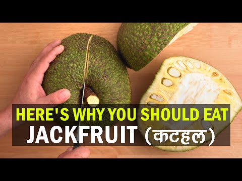 , title : '14 Health Benefits of Eating Jackfruit | Fit Tak'