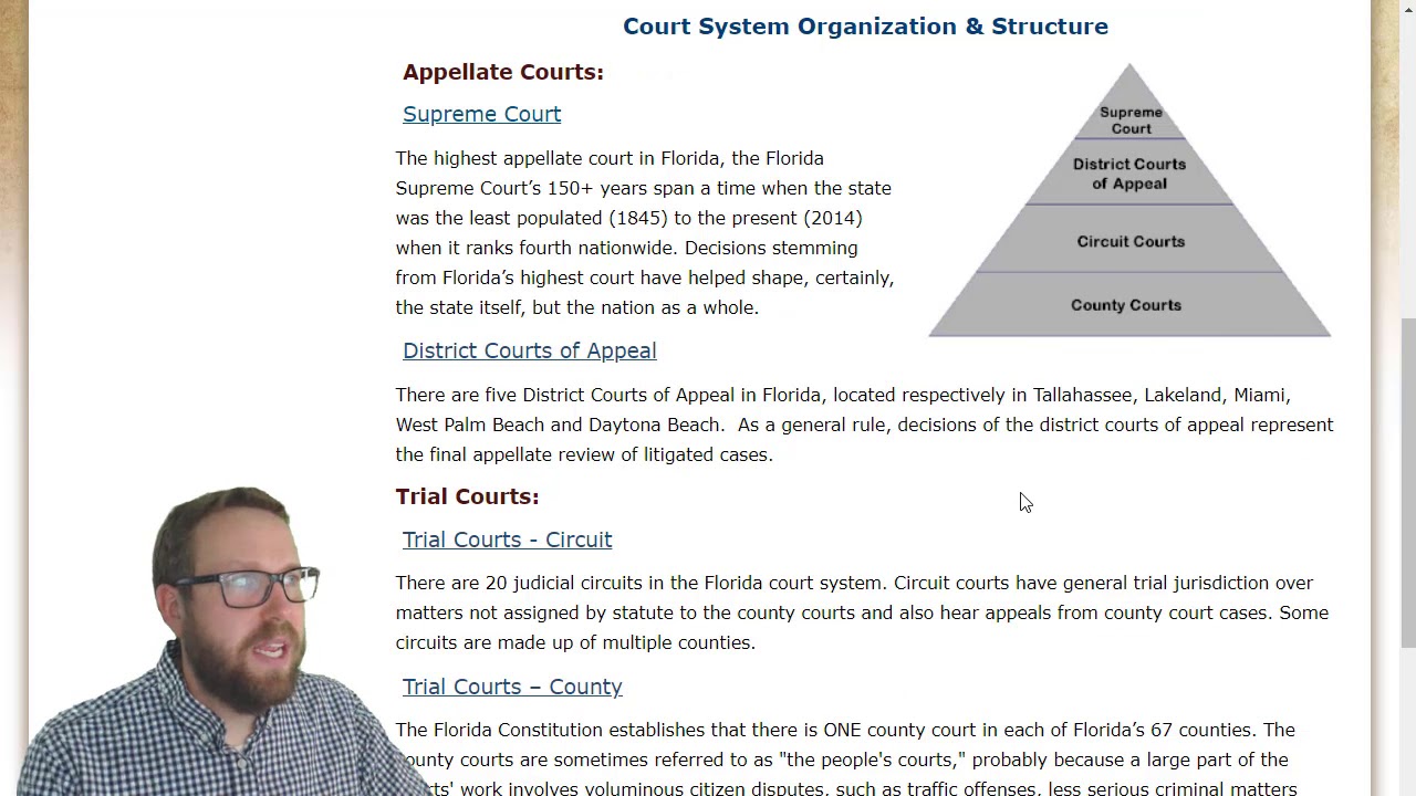 4.6.1 ~ Florida State Court System