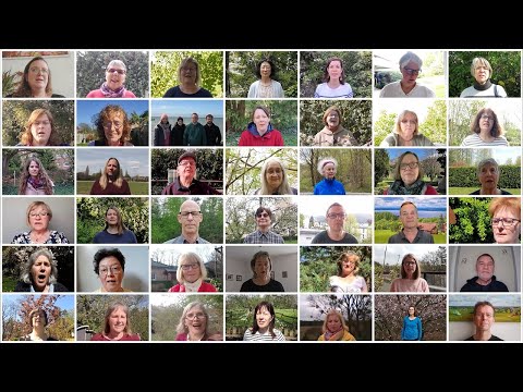 Online-Chor - Fly With Me (Lena's Song)