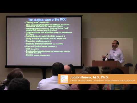 Science of Change 2015: Judson Brewer