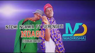 Ntemi NgamiaftSerengetidaguOfficial Audio