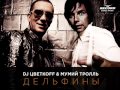 DJ Цветкоff & Мумий Тролль-Дельфины (Remix) 