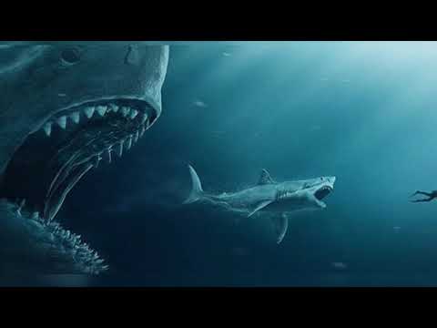 Megalodon vs Shark Cage Scene - The Meg | BEST MOVIE CLIPS HD