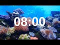 8 Minute Timer Relaxing Music Lofi Fish Background