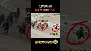 [마권연구소] 36회 뚝섬배 화려하게 돌아왔다 여왕의 귀환! 즐거운여정 우승!!
