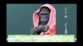 ゴリラが主人公の乙女ゲームが斬新すぎる件