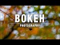 Bokeh Photography The Easy Way