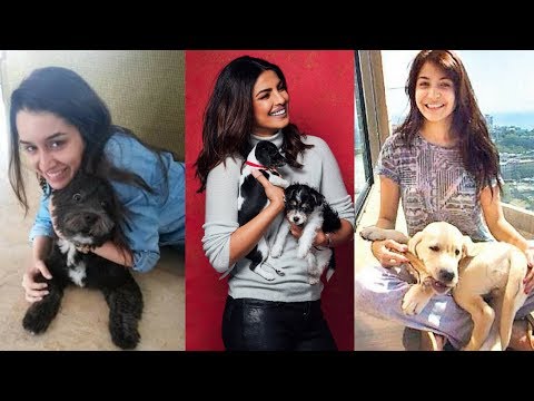 Top 10 Bollywood Celebrity Actress With Their Adorable Pet Dogs