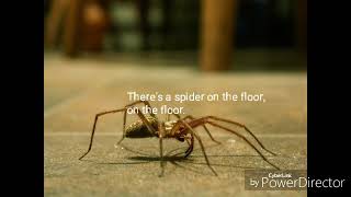 Spider on the Floor
