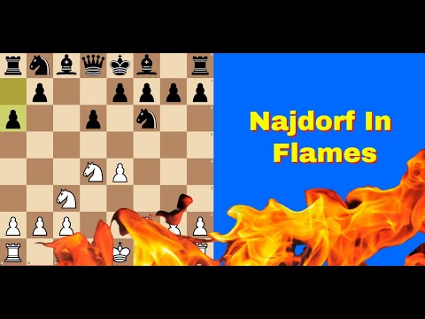 Slovenian Tal Crushes Najdorf | Albin Planinc vs Miguel Najdorf: Hoogovens 1973